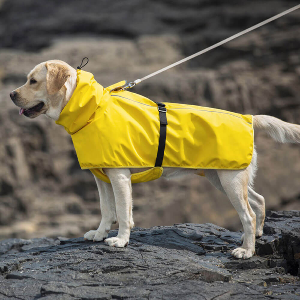 Roupas para cães de estimação transfronteiriças à prova d'água ao ar livre capa de chuva poncho roupas para cães grandes