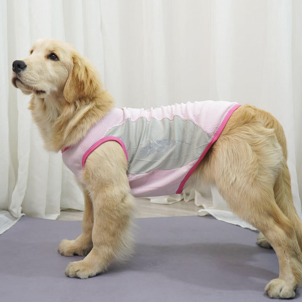 Roupas para cães de estimação, favo de mel, orelhas de trigo refletivas, roupas legais, colete combinando com cores