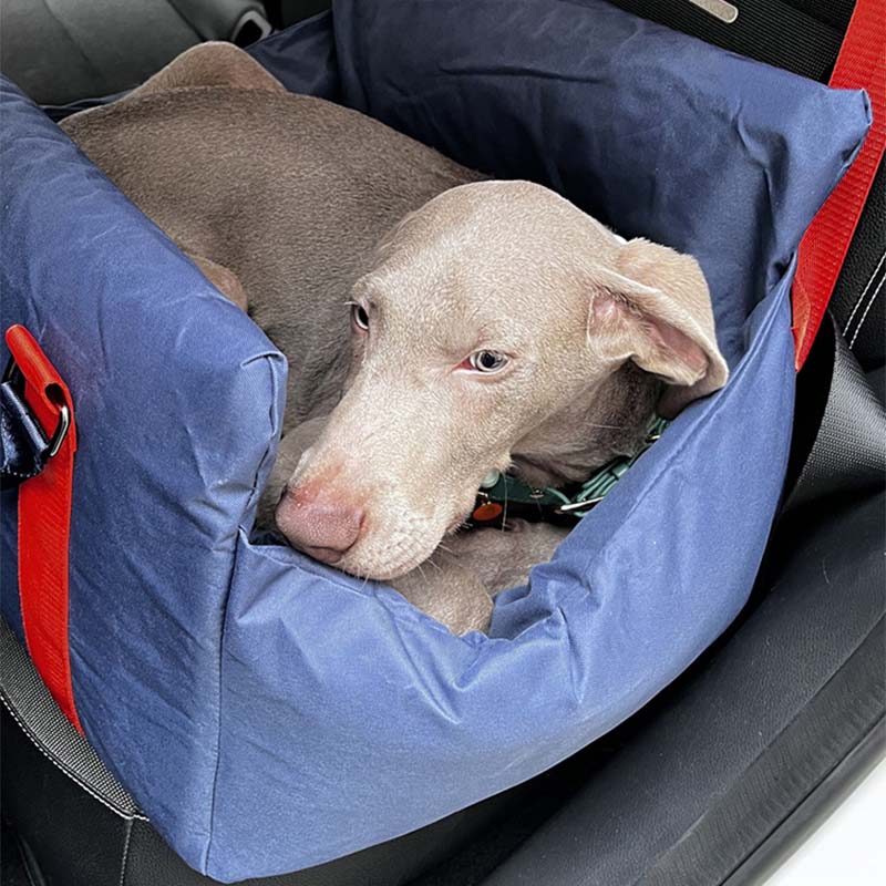 Cama Móvel para Assento Dianteiro de Carro para Cachorro Pet em Tecido Oxford