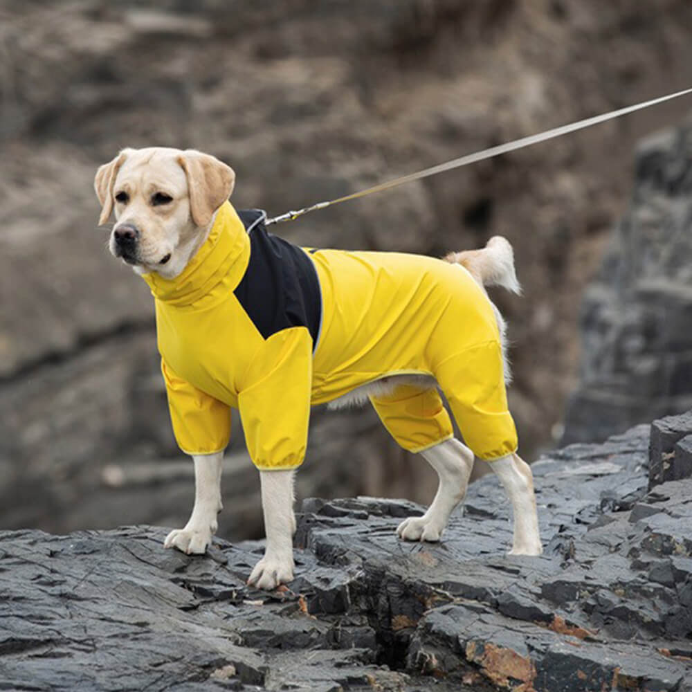 Capa de chuva impermeável com ajuste elástico e gola alta para cães com faixa reflexiva