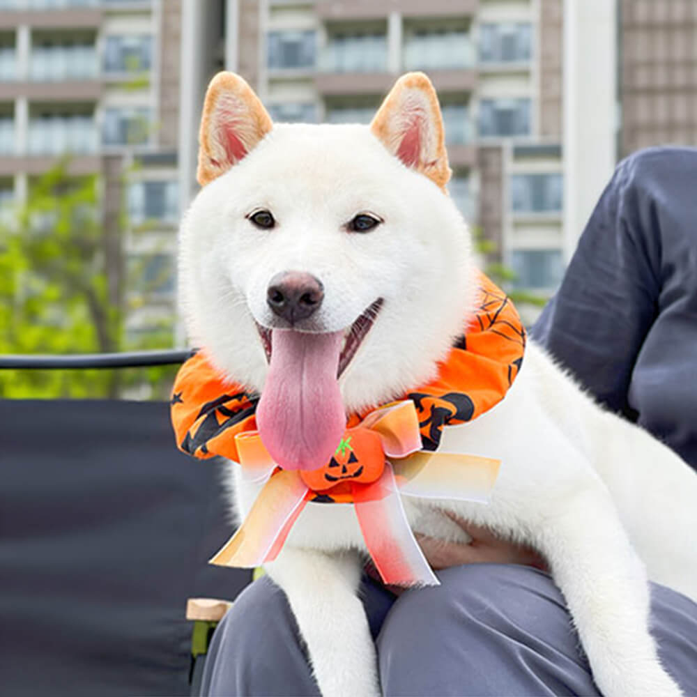 Cachecol Bandana de Cachorro de Halloween com Babados de Abóbora Fofa