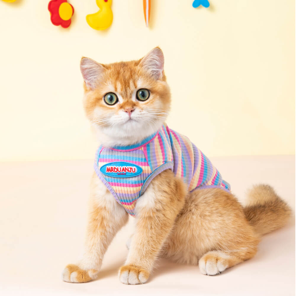 Roupas para animais de estimação Colete anti-queda de cabelo para gatos