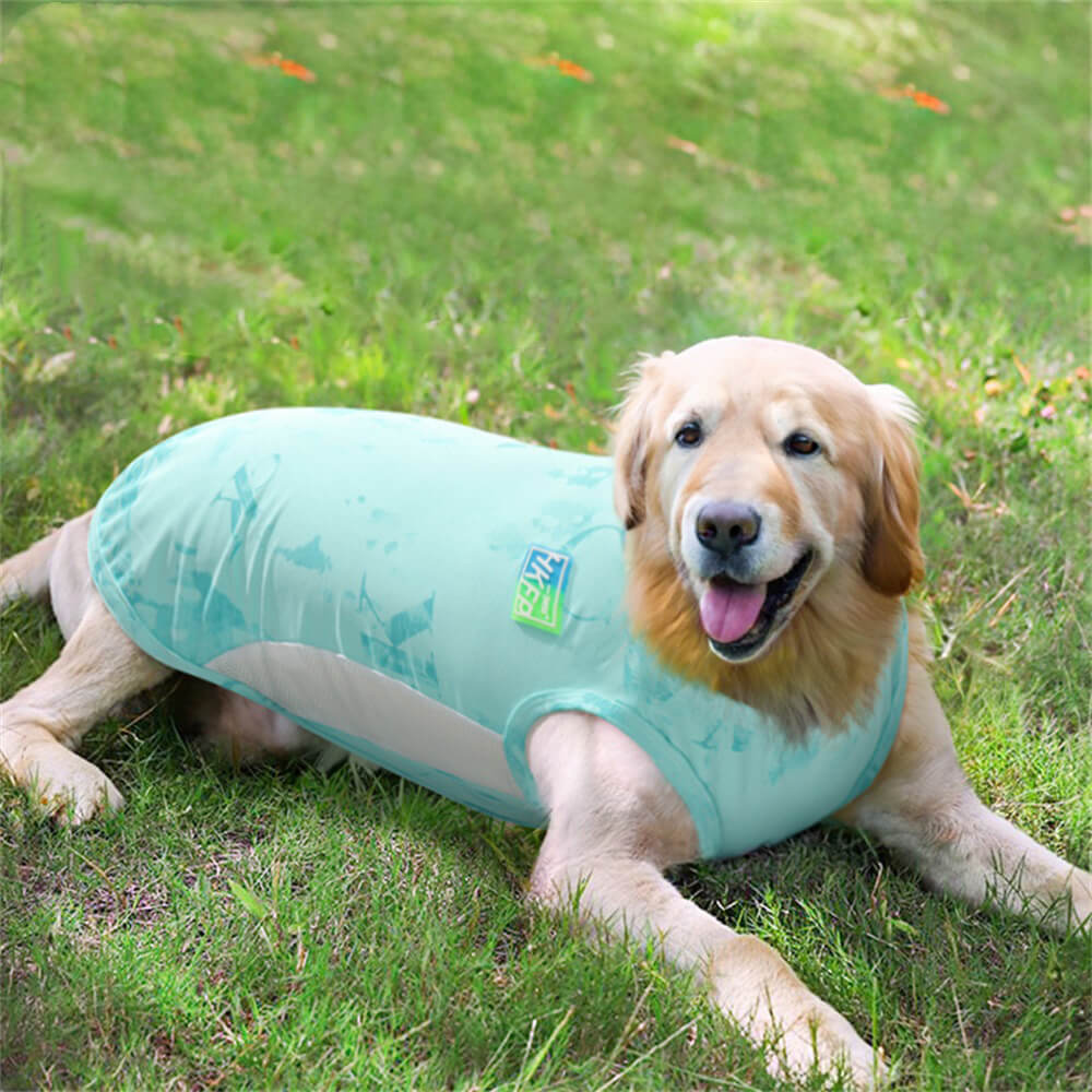 Colete de resfriamento de verão para cachorro grande – seda gelada fina, roupa esportiva leve e respirável