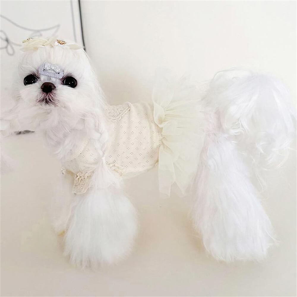 Vestido elegante de renda branca para cachorro com detalhes em coração - perfeito para ocasiões especiais