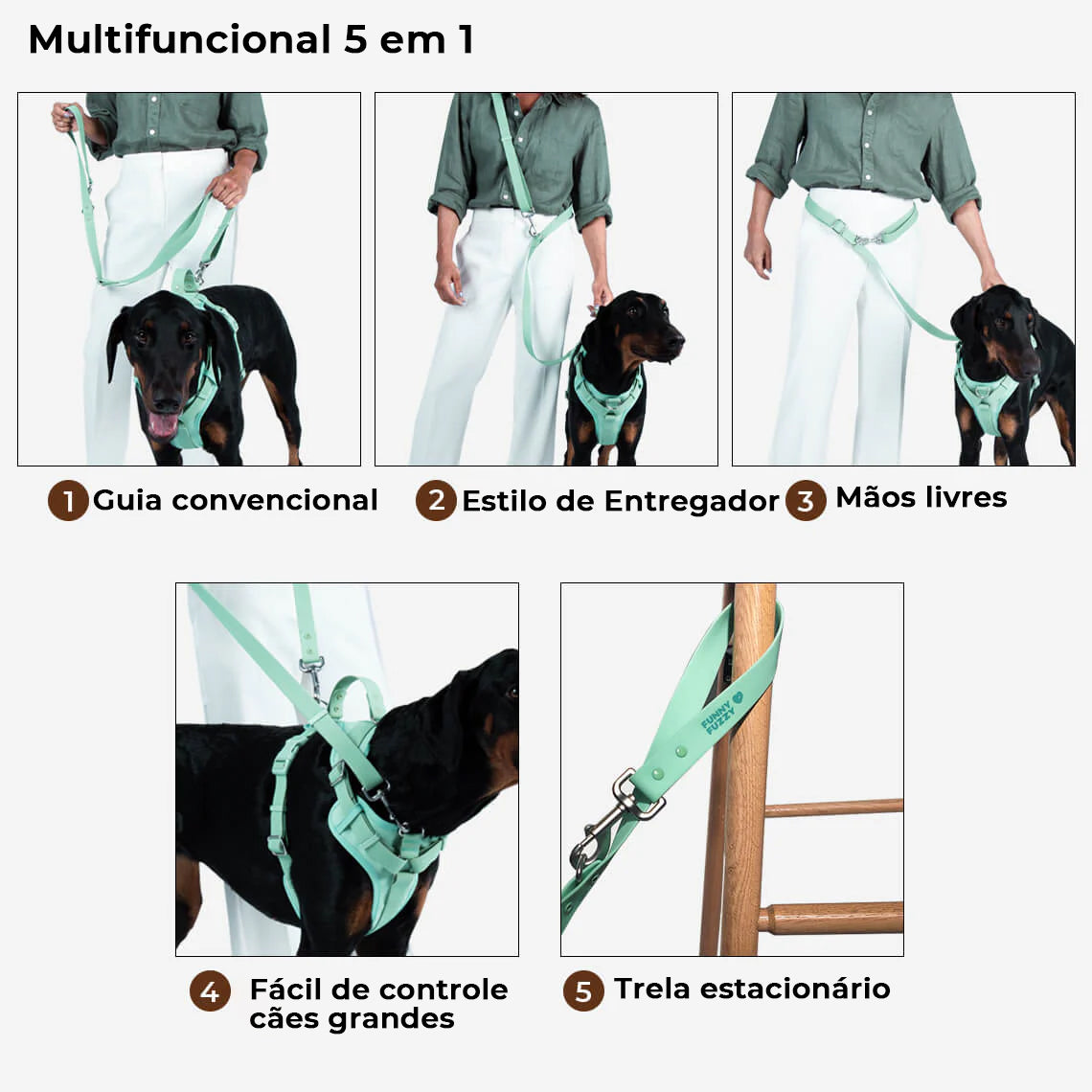 Conjunto de cessórios para Passeio Gummy Cool Dog