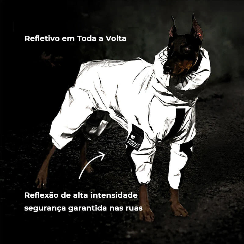 Conjunto de acessórios para caminhada Swag & Safe Cool Dog