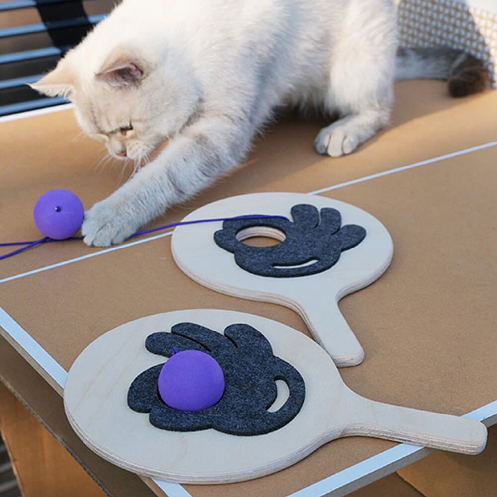 Corda elástica Ping Pong Paddle brinquedo interativo provocador de gato