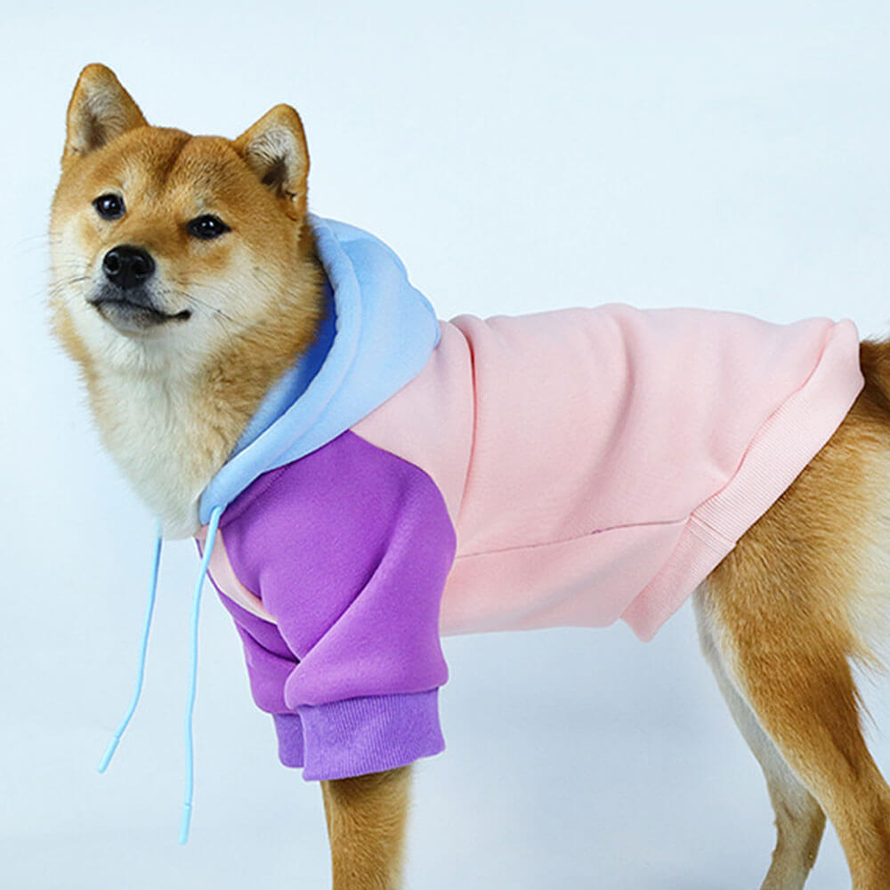 Novo outono e inverno moletom com capuz para animais de estimação para cães combinando com cores moletom com capuz