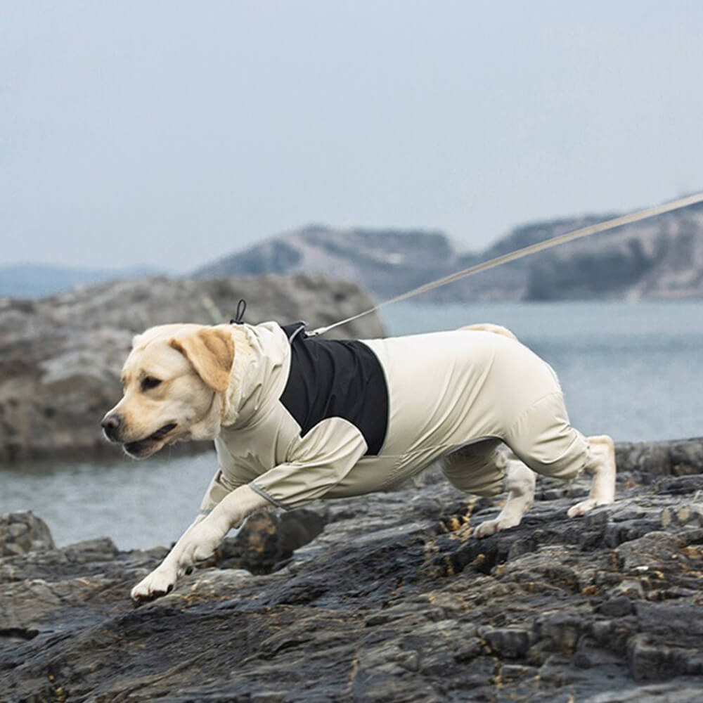 Capa de chuva impermeável com ajuste elástico e gola alta para cães com faixa reflexiva