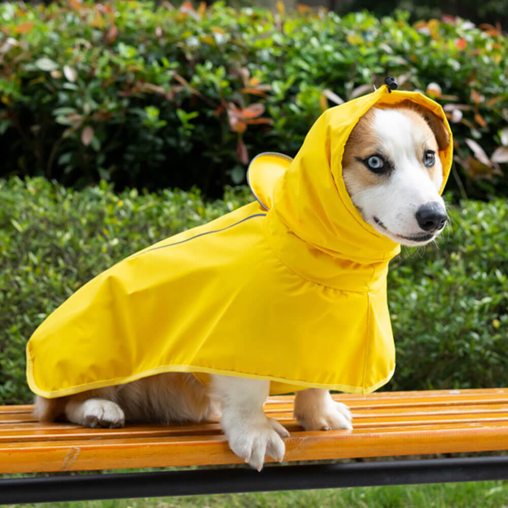 Roupas para cães de estimação transfronteiriças à prova d'água ao ar livre capa de chuva poncho roupas para cães grandes