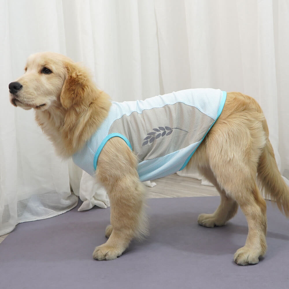 Roupas para cães de estimação, favo de mel, orelhas de trigo refletivas, roupas legais, colete combinando com cores