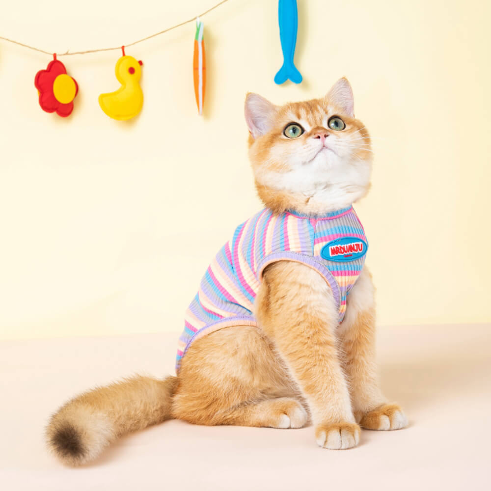 Roupas para animais de estimação Colete anti-queda de cabelo para gatos