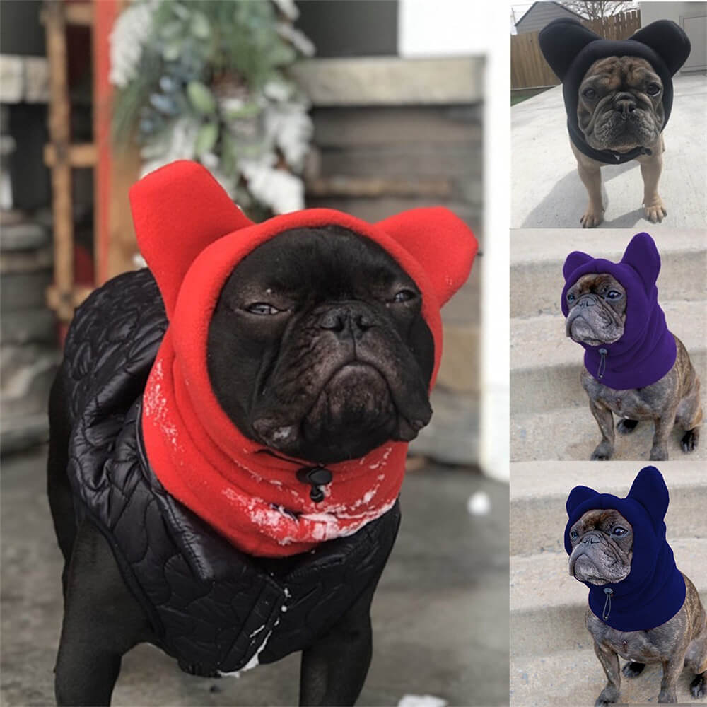 Capuz de lã para cachorro com orelhas de urso – chapéu de inverno divertido e aconchegante