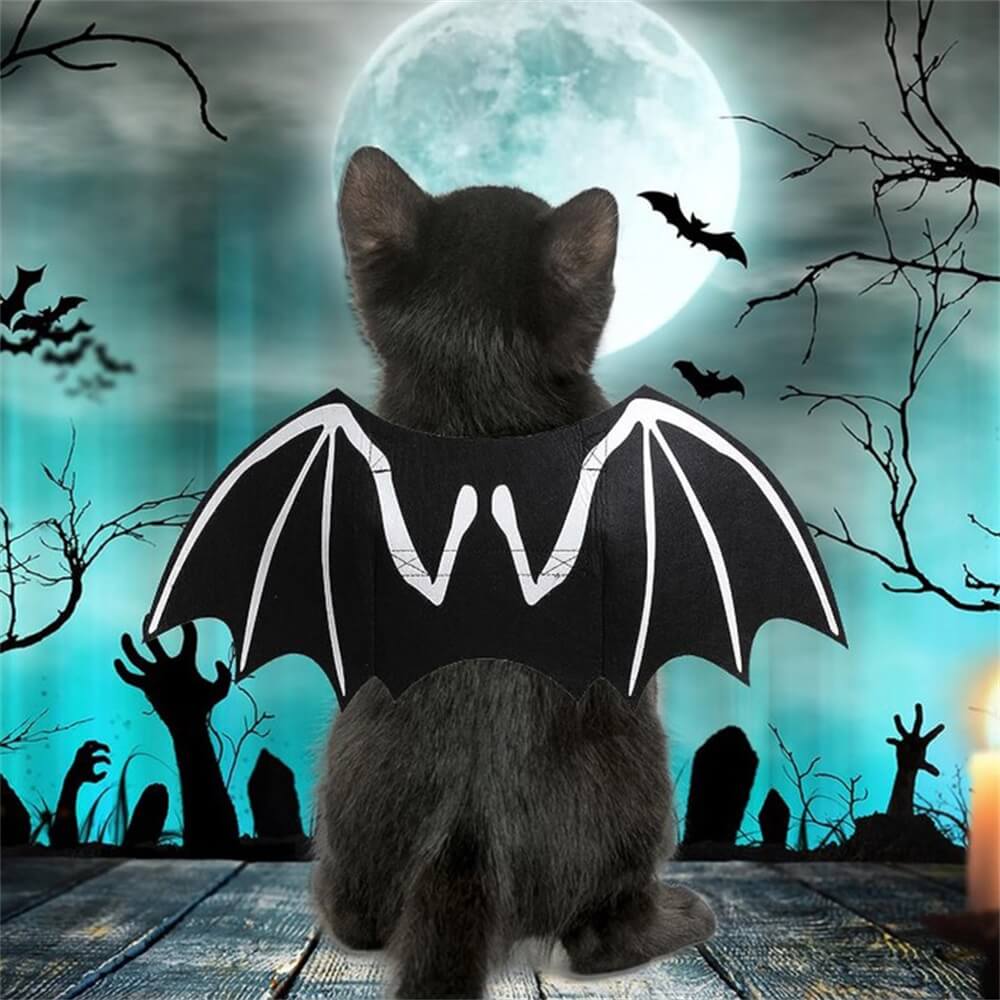 Fantasia de Halloween para cachorro com asas de morcego e caveira luminosa | Adereços para RPG de animais de estimação