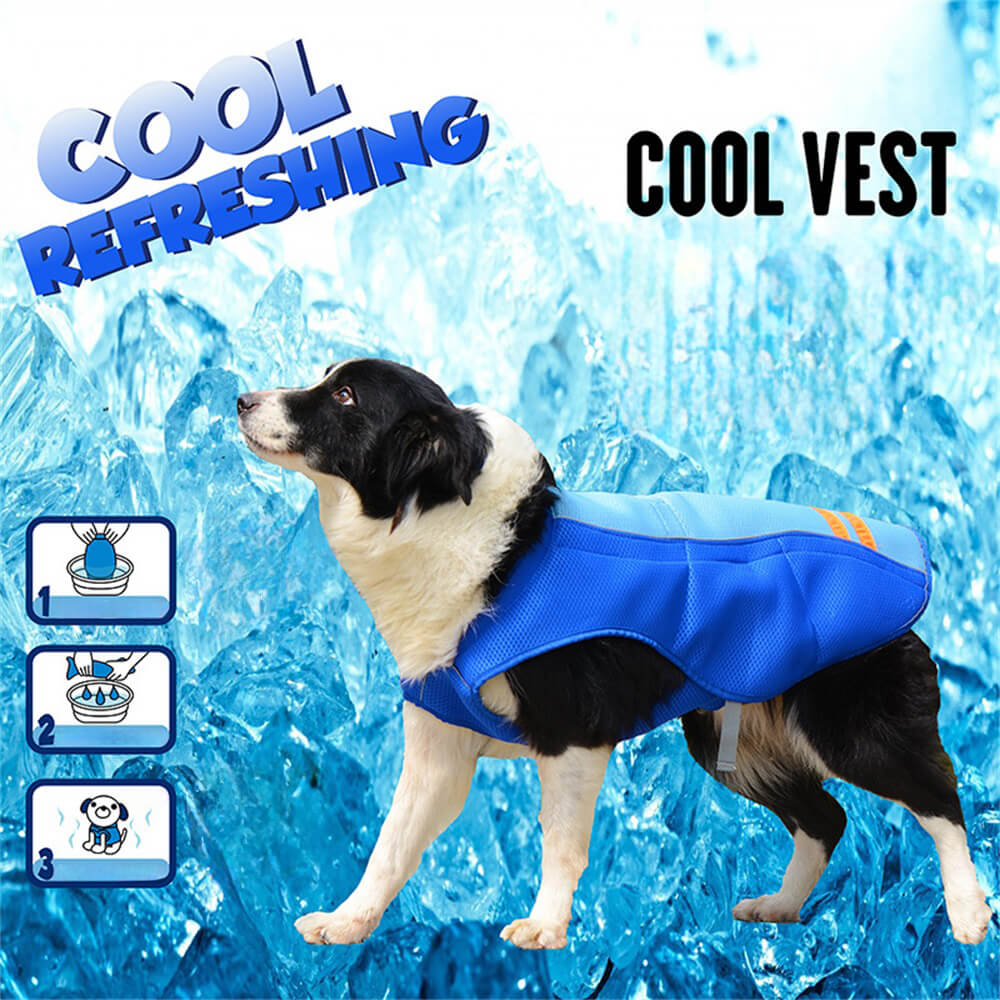 Roupas para cães de estimação, cores combinando, cores brilhantes, moda para cães, roupas legais ao ar livre, colete de proteção solar