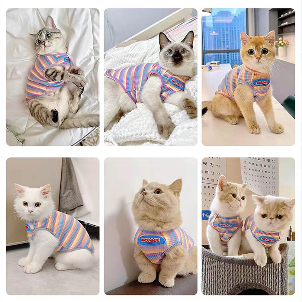 Roupas para animais de estimação Colete anti-queda de cabelo para gatos