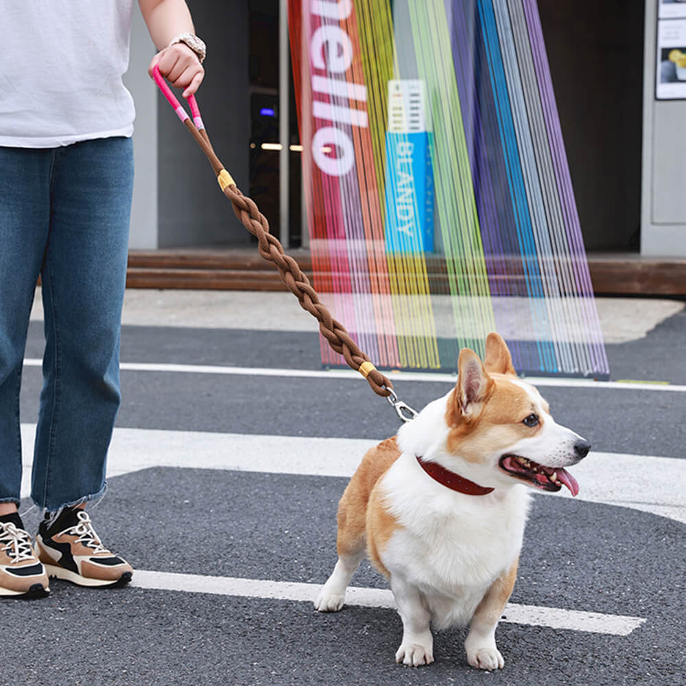 Corda de tração para cães tecida à mão - grossa e durável para caminhadas confortáveis