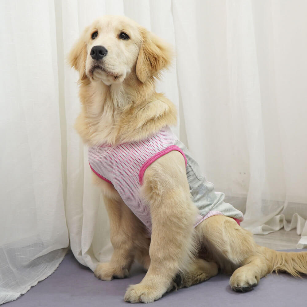 Roupas para cães de estimação, favo de mel, orelhas de trigo refletivas, roupas legais, colete combinando com cores