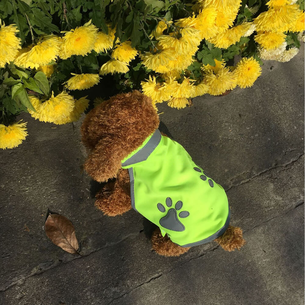 Roupas para cães de estimação fluorescente verde reflexivo pata segurança colete de cor brilhante