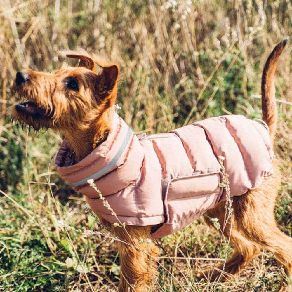 Colete quente à prova d'água e vento - o máximo em calor e estilo no inverno