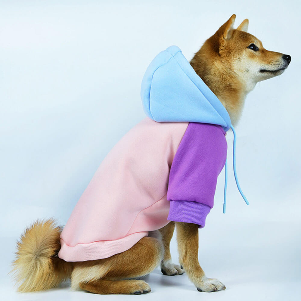 Novo outono e inverno moletom com capuz para animais de estimação para cães combinando com cores moletom com capuz