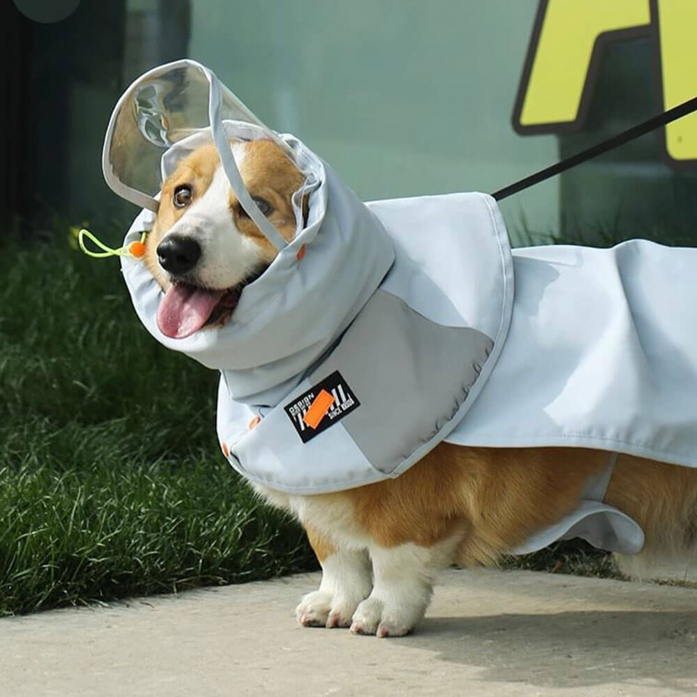 Capa de chuva para cachorro com faixa de barriga completa – aba grande transparente para proteção máxima