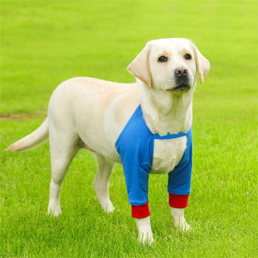 Protetor de joelho e perna para animais de estimação - calor, suporte para articulações, protetor de perna de cachorro para cuidados com animais de estimação