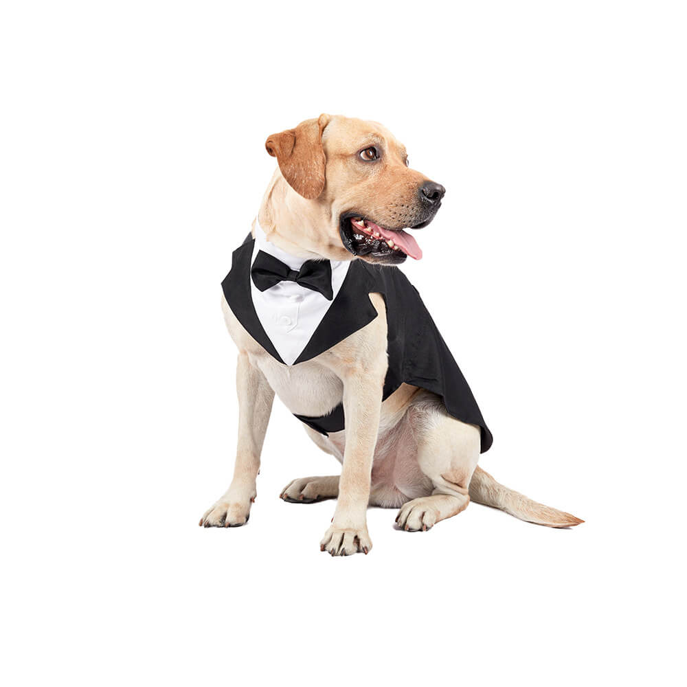 Roupas para cães de estimação, vestido de terno com gravata borboleta para casamento