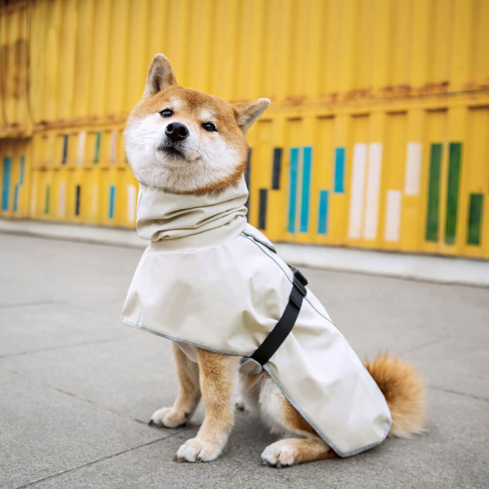 Roupas para cães de estimação transfronteiriças à prova d'água ao ar livre capa de chuva poncho roupas para cães grandes