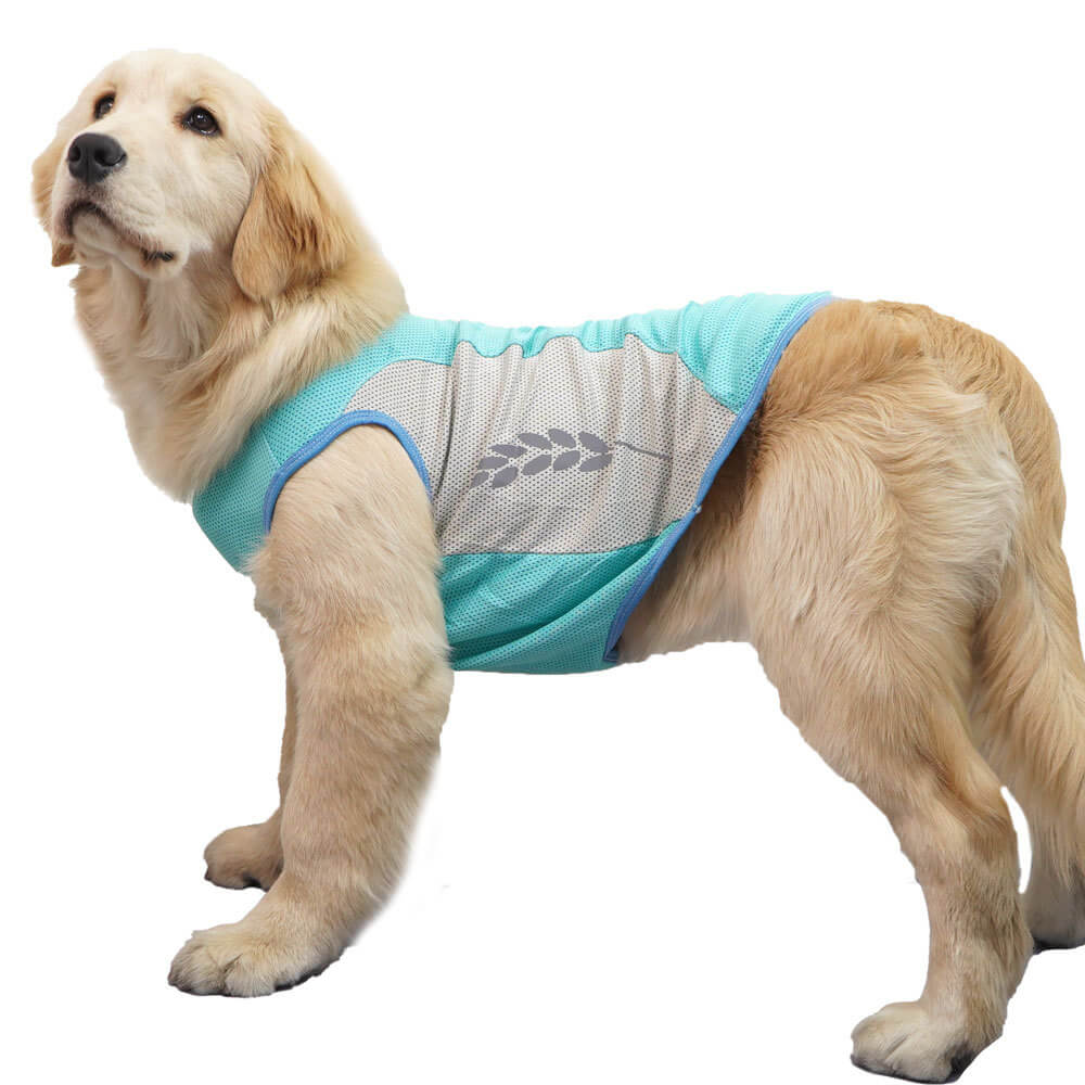 Roupas para cães de estimação, favo de mel, orelhas de trigo refletivas, roupas legais, colete combinando com cores