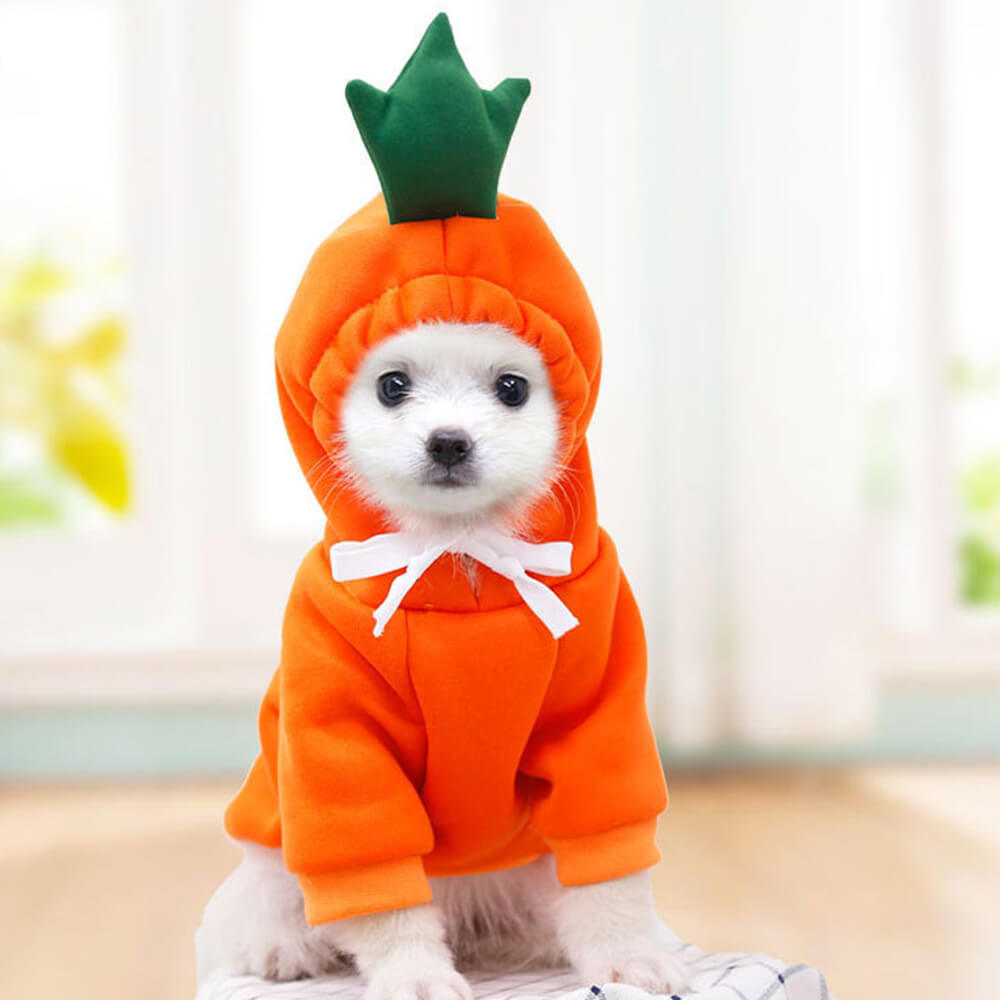 Roupas engraçadas para animais de estimação com frutas para cães de pequeno e médio porte