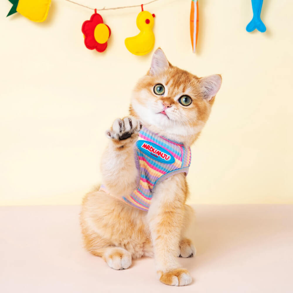 Roupas para animais de estimação Colete anti-queda de cabelo para gatos