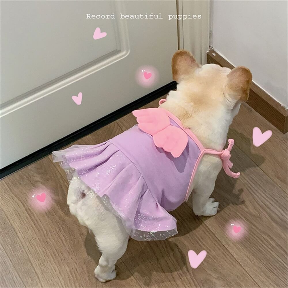 Vestido adorável de cachorro com asas de anjo - perfeito para ocasiões especiais