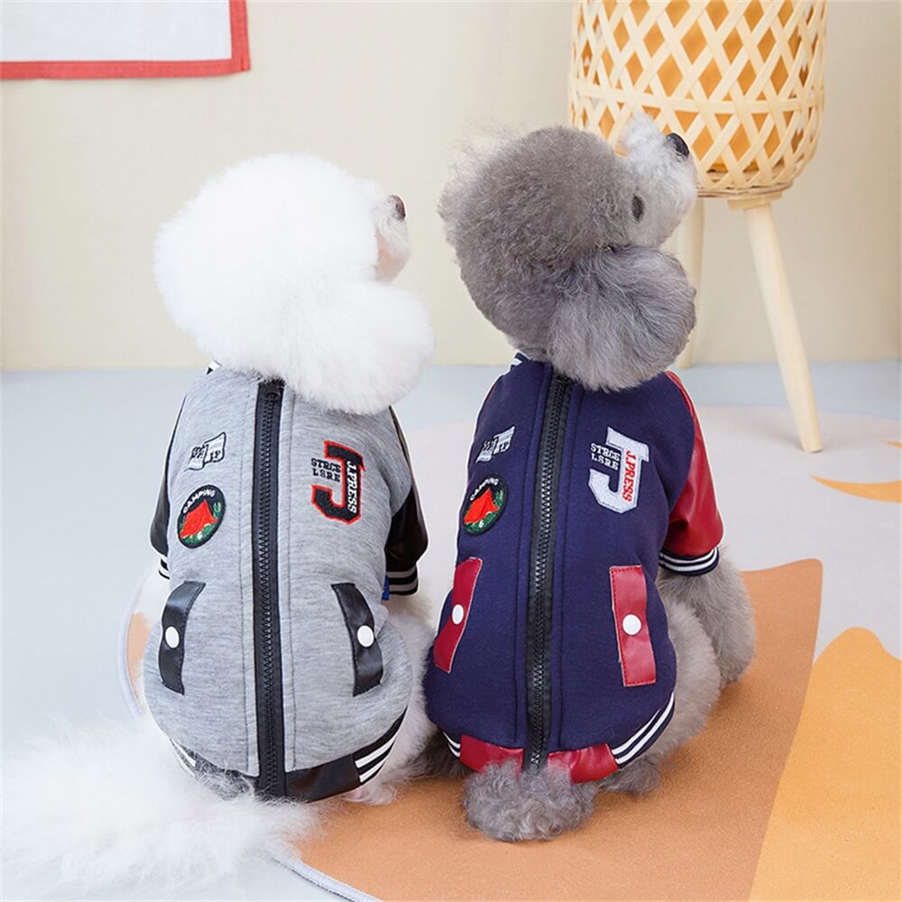 Jaqueta Trendy Dog Varsity - Estilosa e divertida para cães pequenos