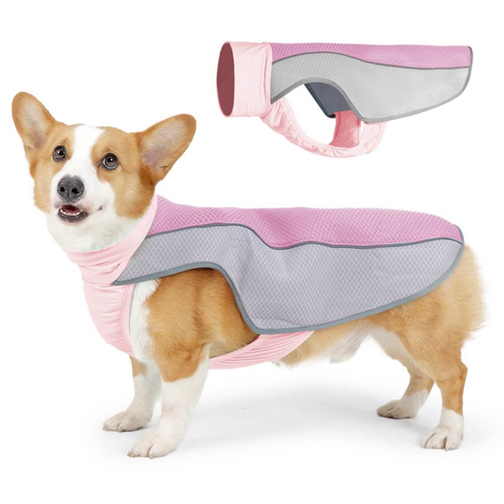 Roupas para animais de estimação Proteção contra o calor do verão para cães - Roupas lce Cool para cães