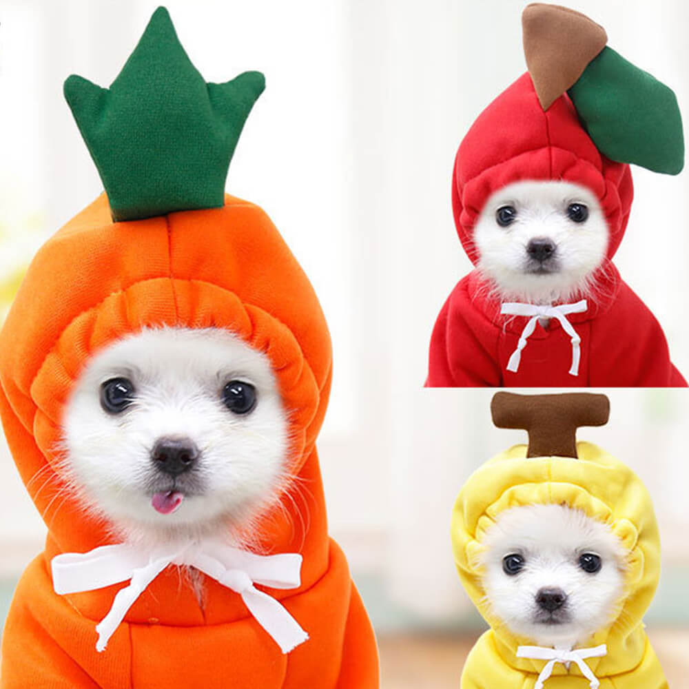 Roupas engraçadas para animais de estimação com frutas para cães de pequeno e médio porte