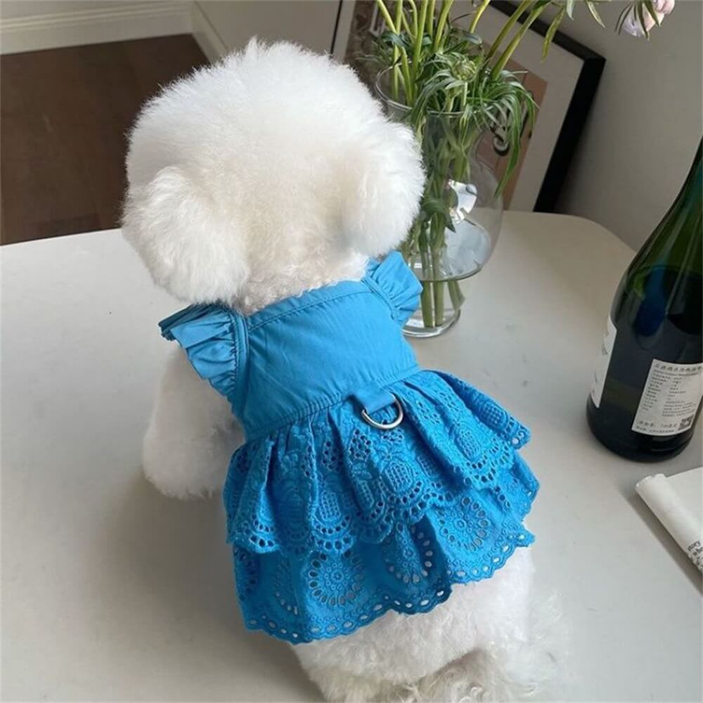 Vestido estiloso de renda azul e rosa para cachorro - perfeito para ocasiões especiais