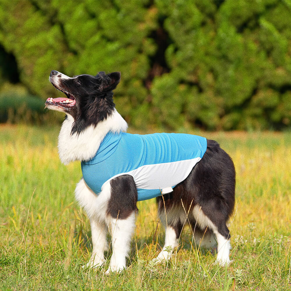 Roupas para cães de estimação ao ar livre, cor contrastante, chapéu de sol e colete de resfriamento solar