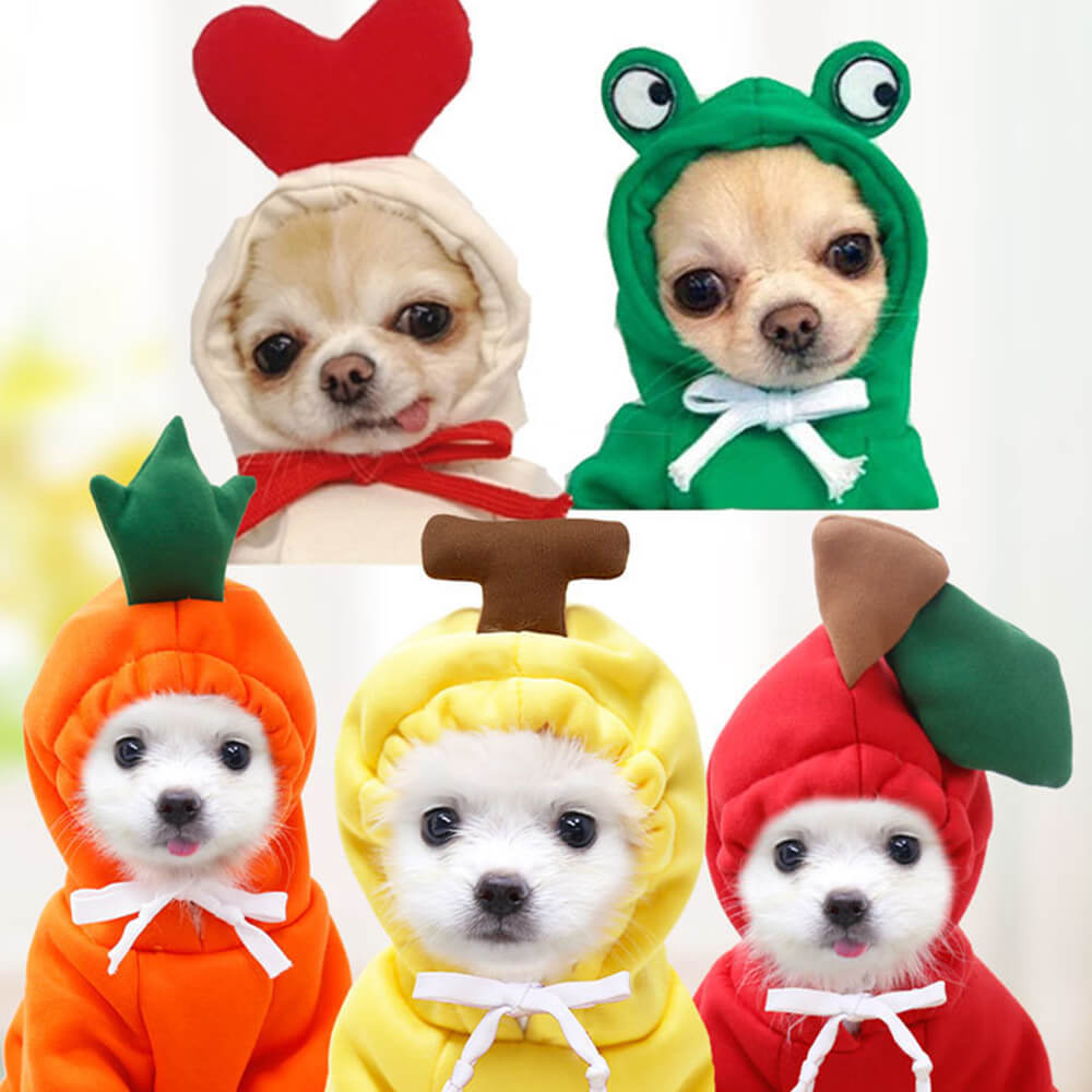 Roupas engraçadas para animais de estimação com frutas para cães de pequeno e médio porte