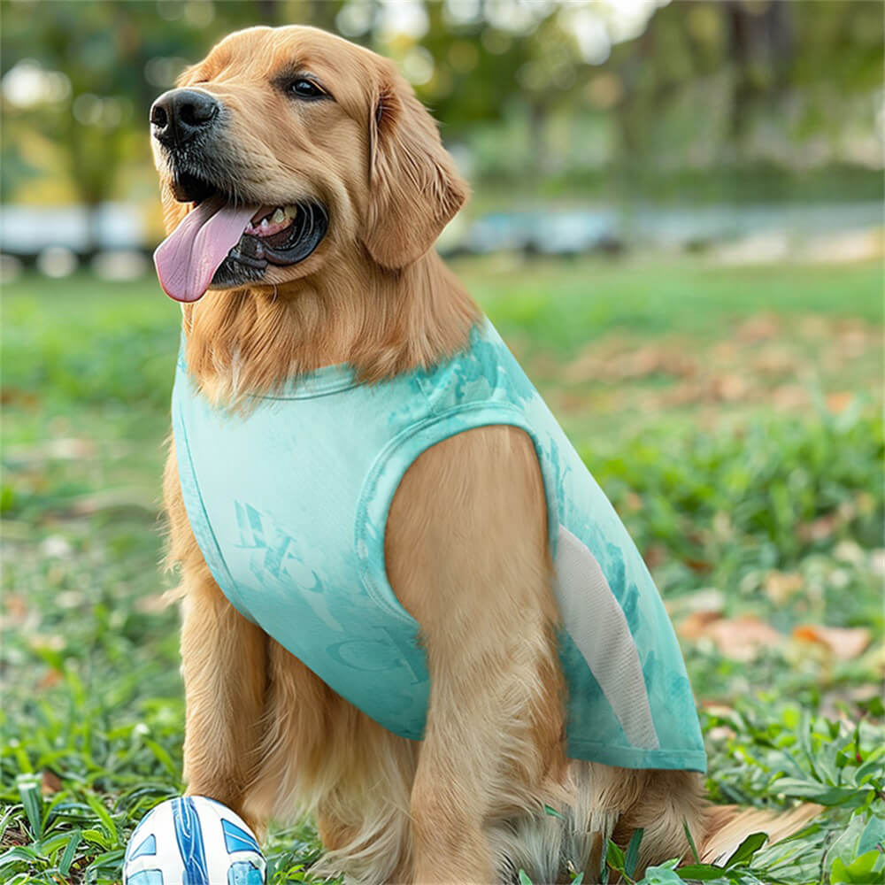 Colete de resfriamento de verão para cachorro grande – seda gelada fina, roupa esportiva leve e respirável