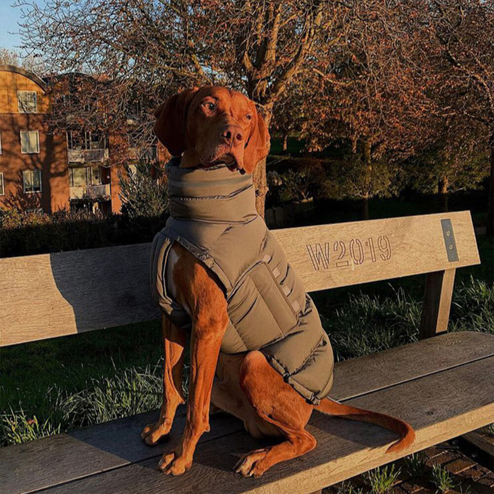 Colete quente à prova d'água e vento - o máximo em calor e estilo no inverno