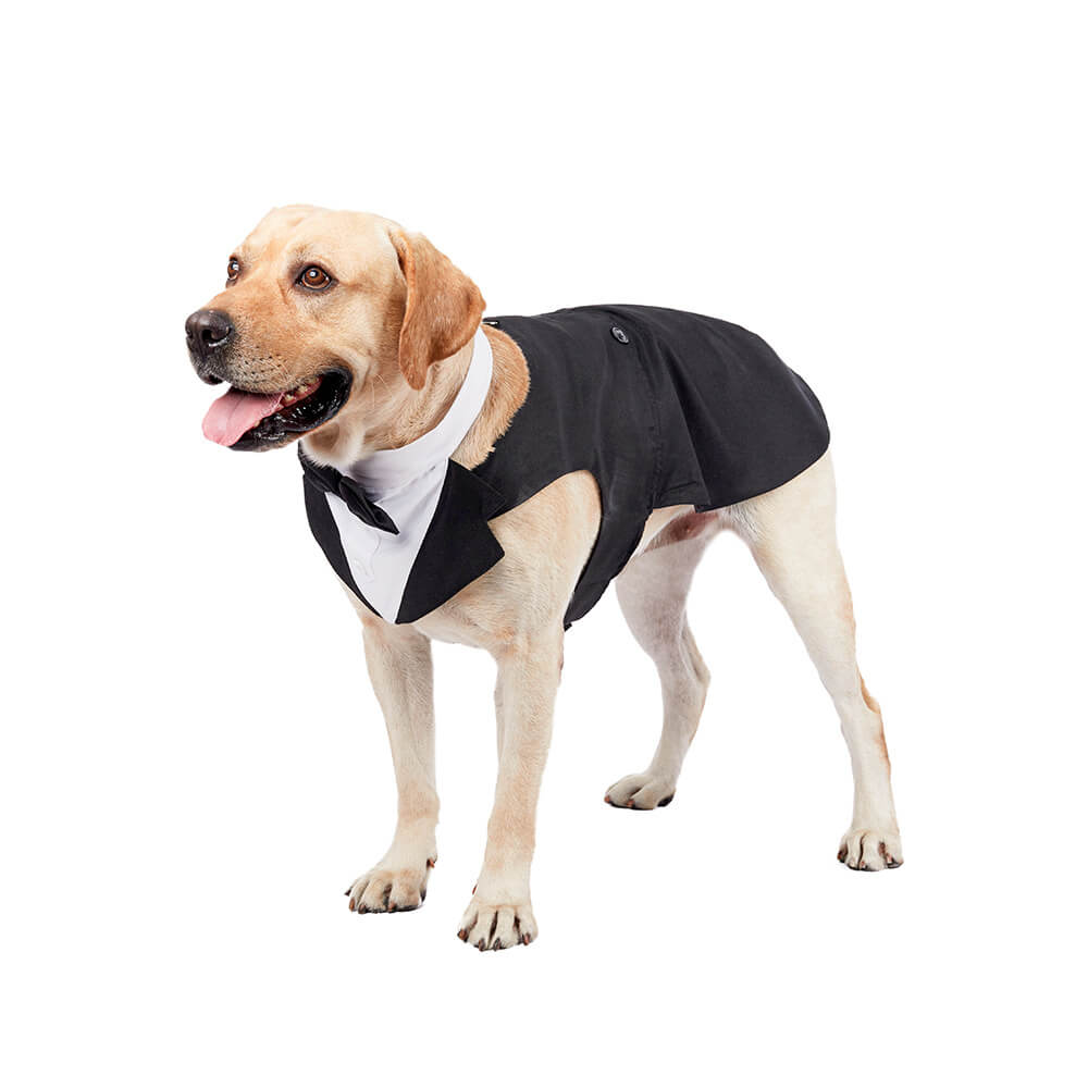 Roupas para cães de estimação, vestido de terno com gravata borboleta para casamento