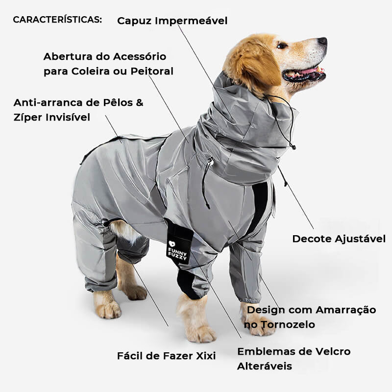 Conjunto de acessórios para caminhada Swag & Safe Cool Dog