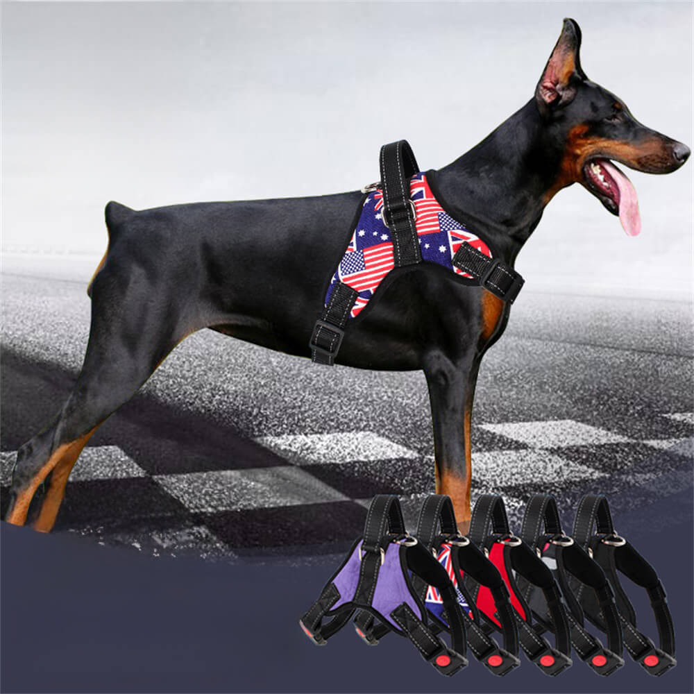 Union Jack Dog Harness com corda de tração – Equipamento de caminhada elegante e funcional