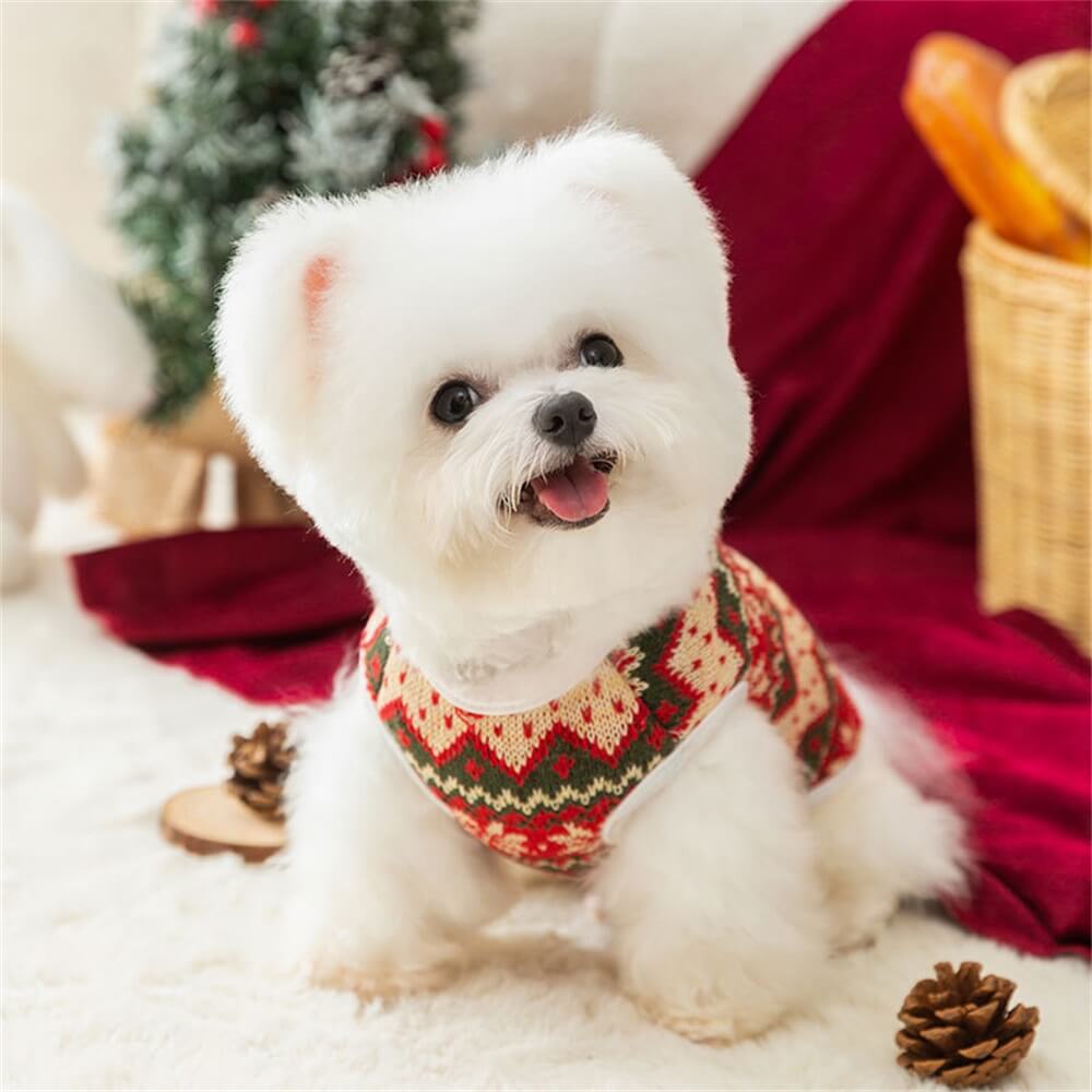 Suéter de malha de urso festivo para cachorro – aconchegante e perfeito para as festas