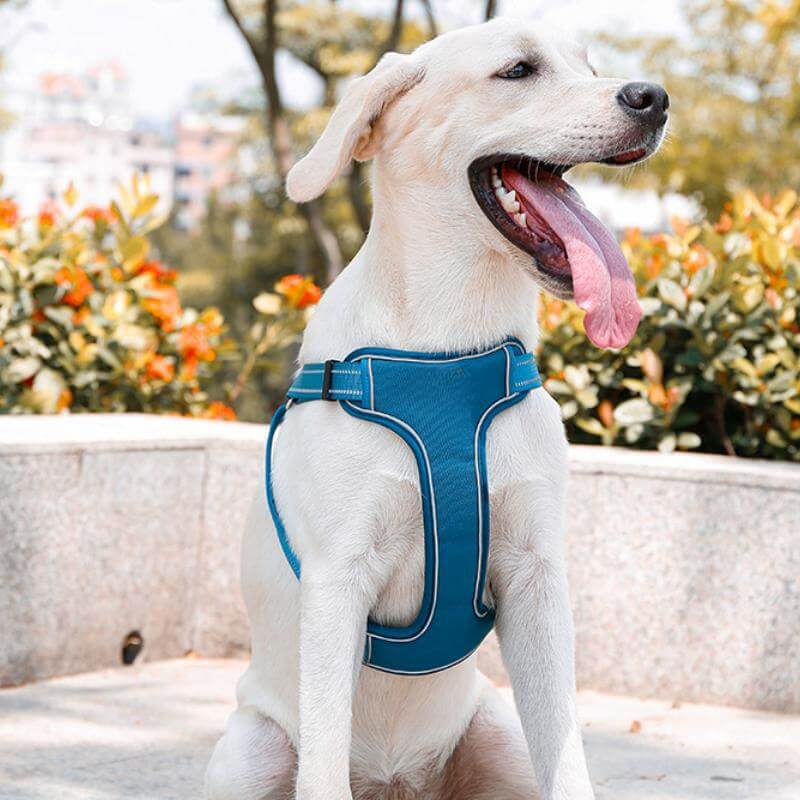 Peitoral para Cães Respirável Anti-puxão Ajustável com Guia de Mãos Livres