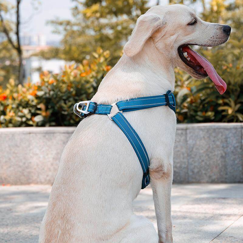 Arnês para cães respirável anti-tração ajustável com trela mãos-livres