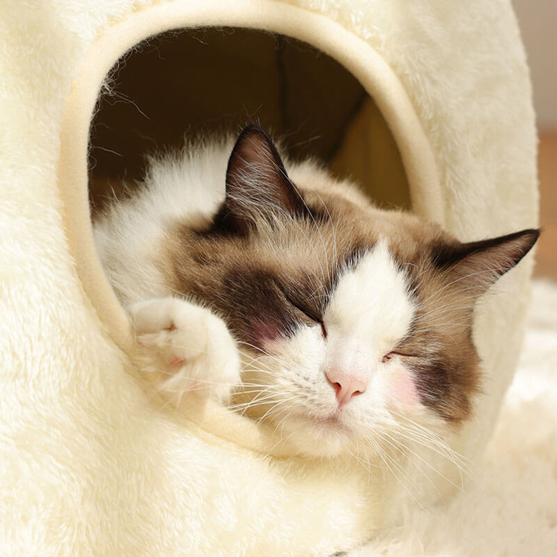 Adorável forma de sapo embrulhada cama para animais de estimação caverna para gatos