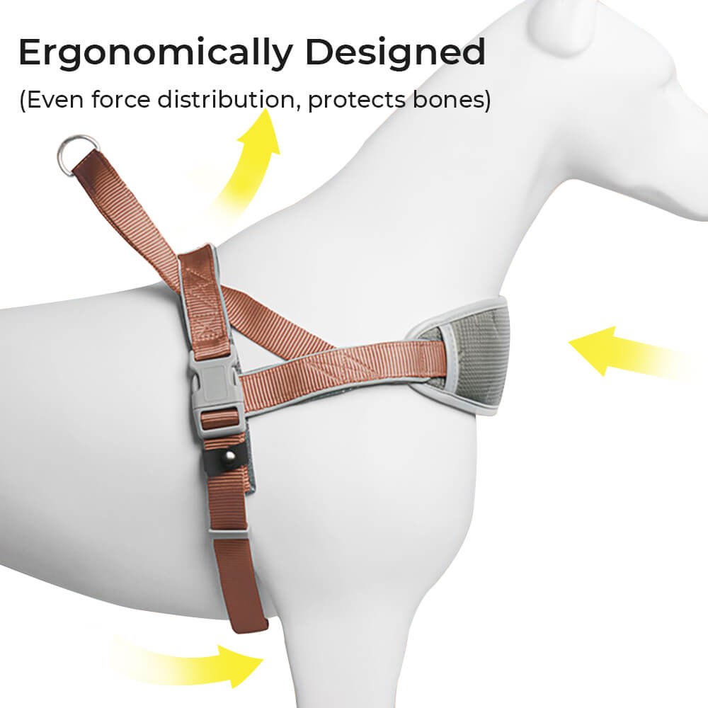 Peitoral para Cães Grandes com Proteção Anti-puxão e Absorção de Choque no Pescoço com Guia
