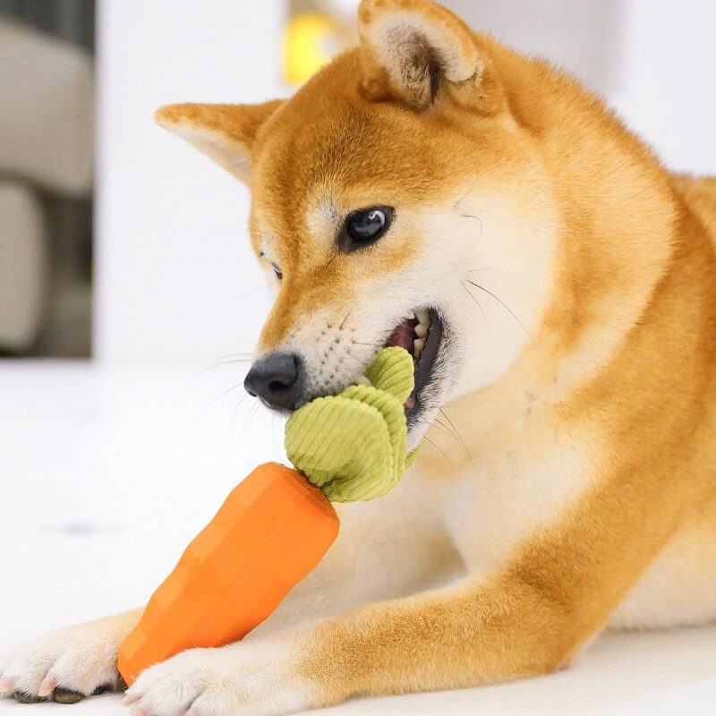 Brinquedo durável para mastigar cachorro com cenoura estridente